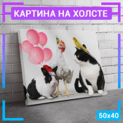 50x40 см 
