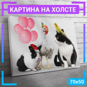 70x50 см 