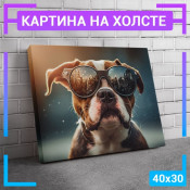 40x30 см 