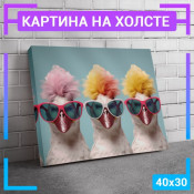 40x30 см 