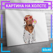 60x40 см +206 руб
