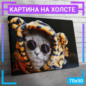 70x50 см +309 руб