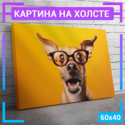 60x40 см 