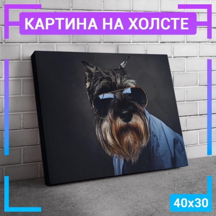 Картина интерьерная на холсте "Шнауцер" Картина интерьерная на холсте "Шнауцер"