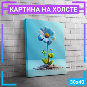 40x30 см 
