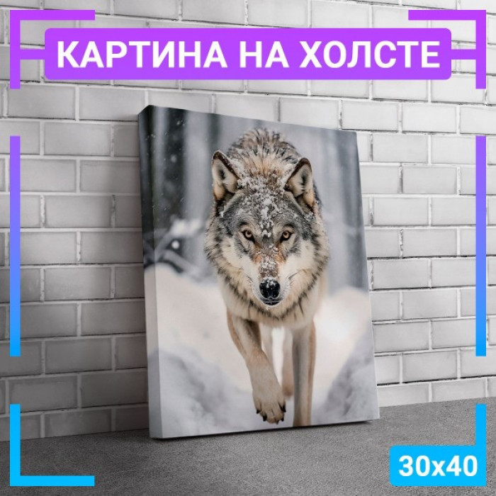 Картина интерьерная на холсте "Волк " Картина интерьерная на холсте "Волк "