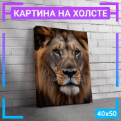 50x40 см +103 руб