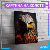 50x40 см 