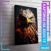 60x40 см 