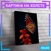 50x40 см +103 руб