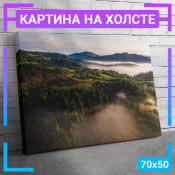 70x50 см +309 руб