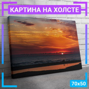 70x50 см +309 руб