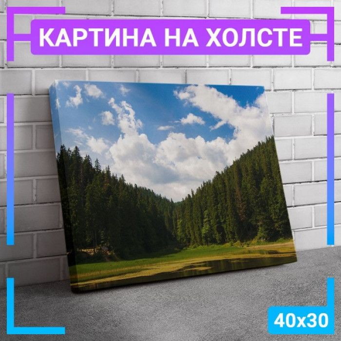 Картина интерьерная на холсте "Вид на лес" Картина интерьерная на холсте "Вид на лес"