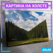 60x40 см +206 руб