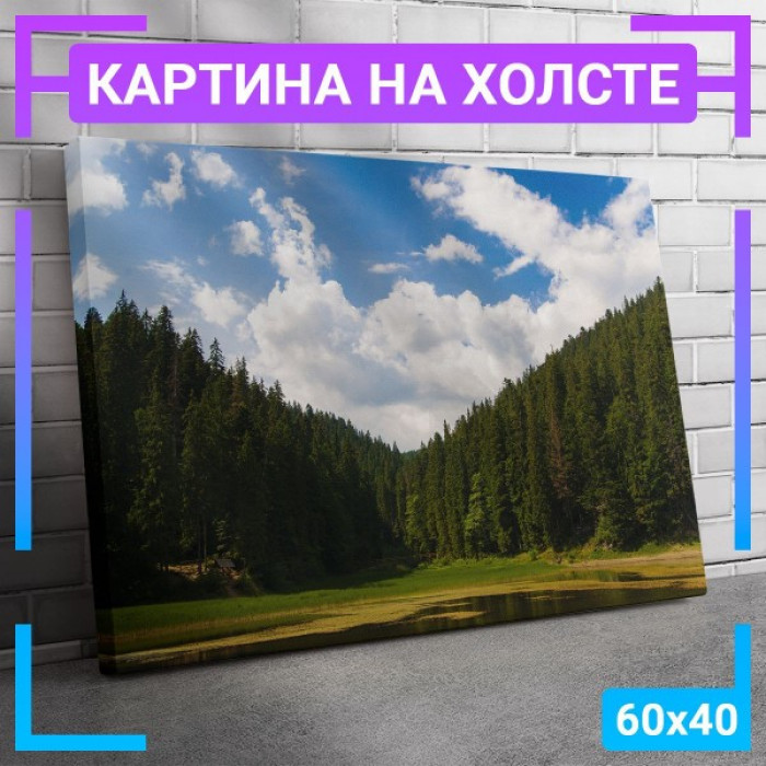 Картина интерьерная на холсте "Вид на лес" Картина интерьерная на холсте "Вид на лес"