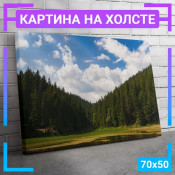 70x50 см +309 руб