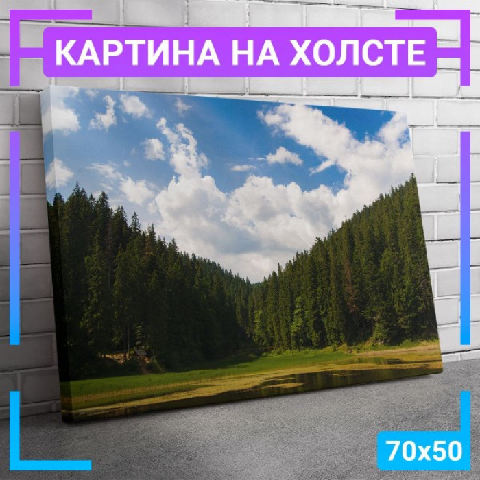 Картина интерьерная на холсте "Вид на лес" Картина интерьерная на холсте "Вид на лес"