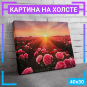 40x30 см 