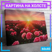 60x40 см +206 руб