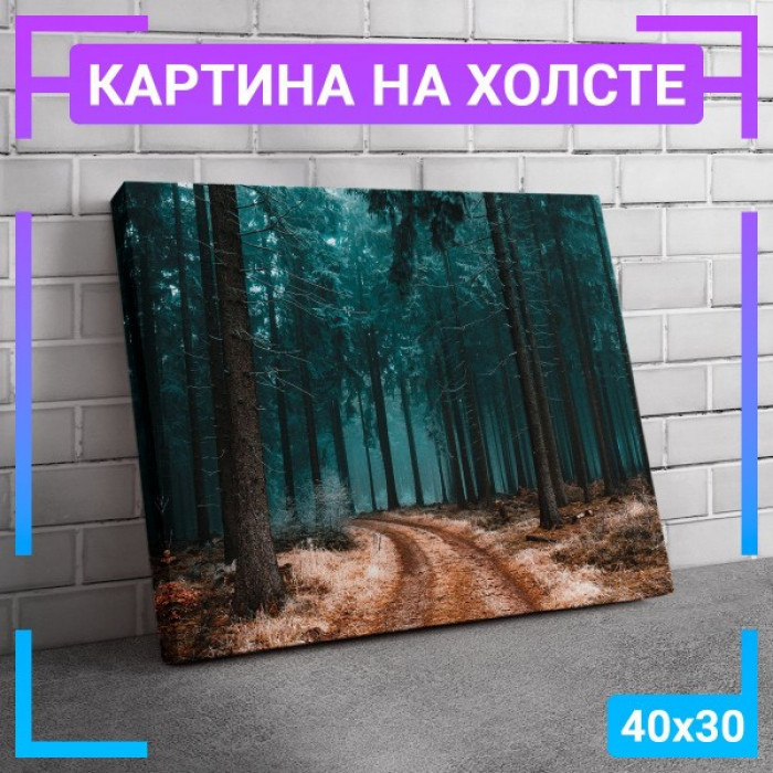 Картина интерьерная на холсте "Тропинка в лесу"