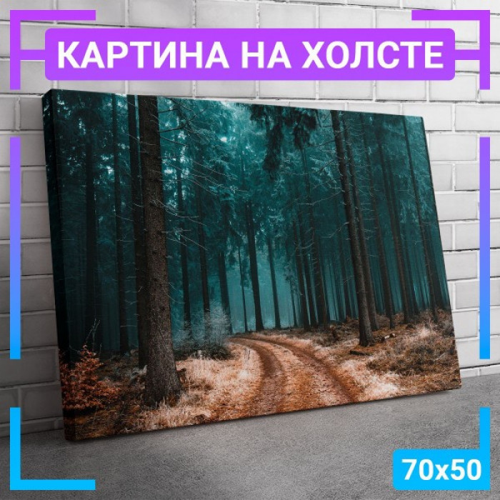 Картина интерьерная на холсте "Тропинка в лесу"