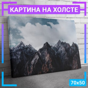 70x50 см +309 руб