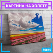 50x40 см +103 руб