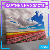 70x50 см +309 руб