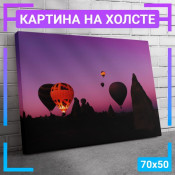 70x50 см +309 руб