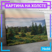 70x50 см +309 руб