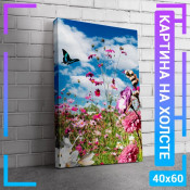60x40 см +206 руб