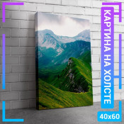 60x40 см +206 руб
