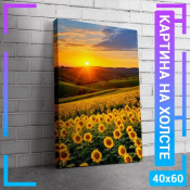 60x40 см +206 руб