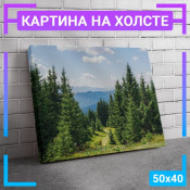 50x40 см +103 руб