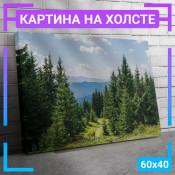 60x40 см +206 руб
