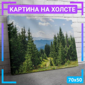 70x50 см +309 руб