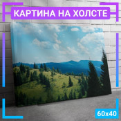 60x40 см +206 руб