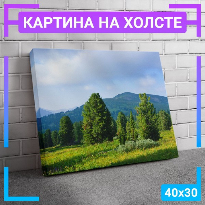 Картина интерьерная на холсте Картина интерьерная на холсте