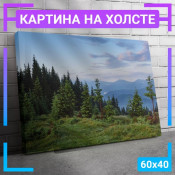 60x40 см +206 руб