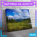 50x40 см +103 руб
