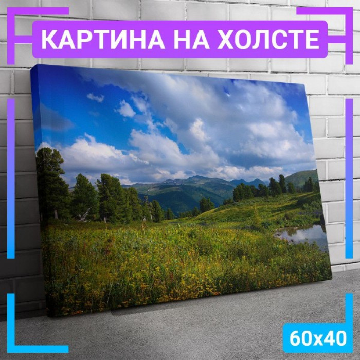 Картина интерьерная на холсте "Поляна у горы" Картина интерьерная на холсте "Поляна у горы"
