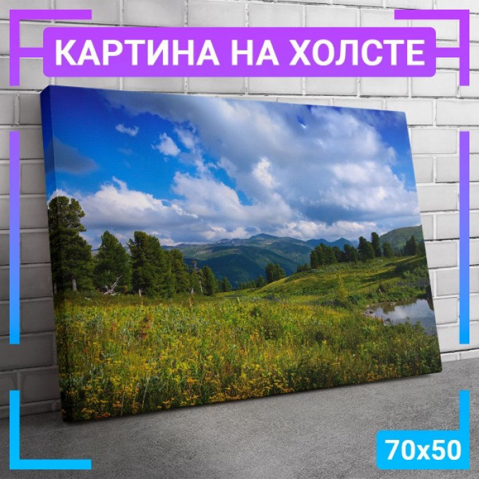 Картина интерьерная на холсте "Поляна у горы" Картина интерьерная на холсте "Поляна у горы"