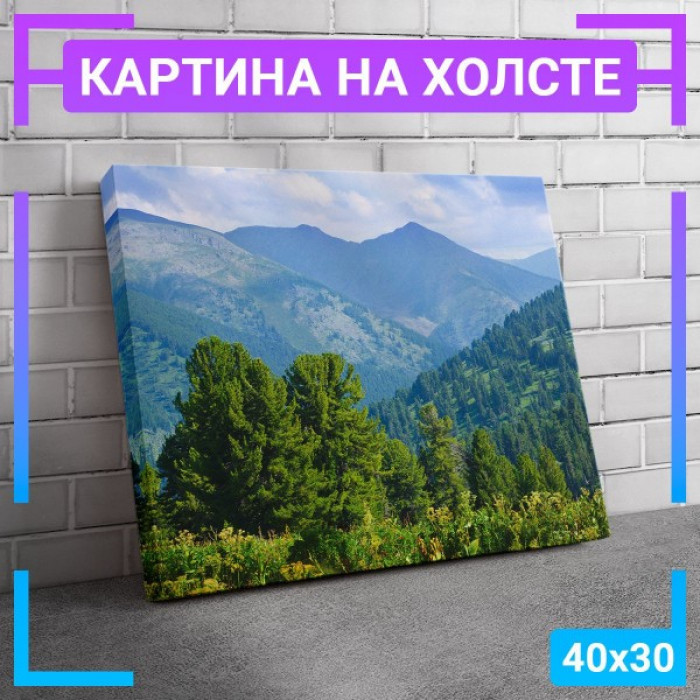 Картина интерьерная на холсте Картина интерьерная на холсте