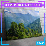 60x40 см +206 руб