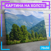 70x50 см +309 руб