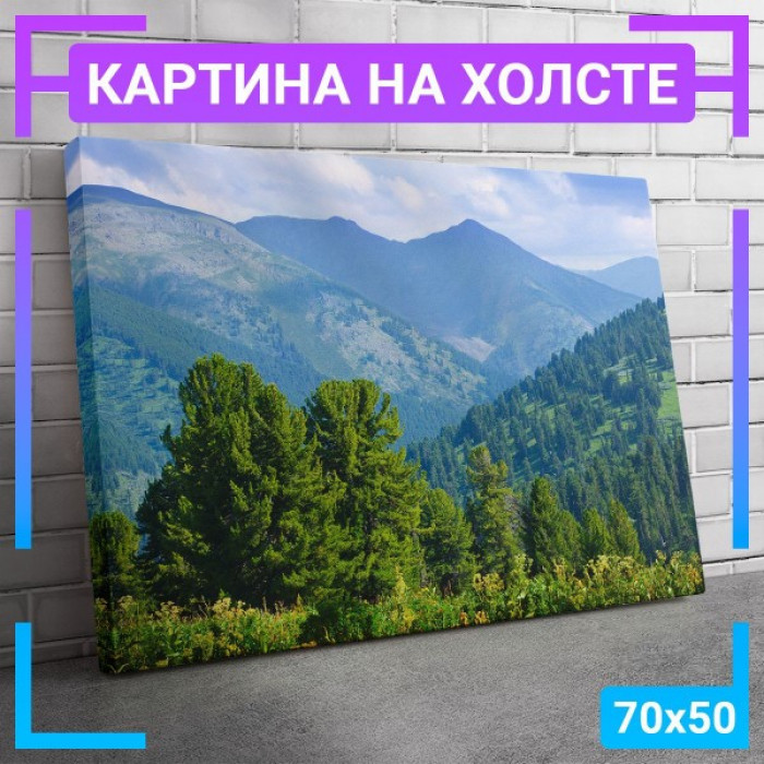 Картина интерьерная на холсте Картина интерьерная на холсте