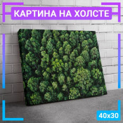40x30 см 