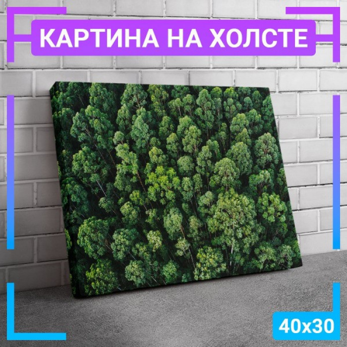Картина интерьерная на холсте "Хвойный лес" Картина интерьерная на холсте "Хвойный лес"