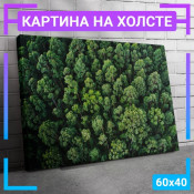 60x40 см +206 руб