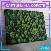 70x50 см +309 руб